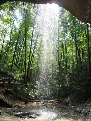 アッシュビル　ピスガ国立森林公園　Pisgah Forest
