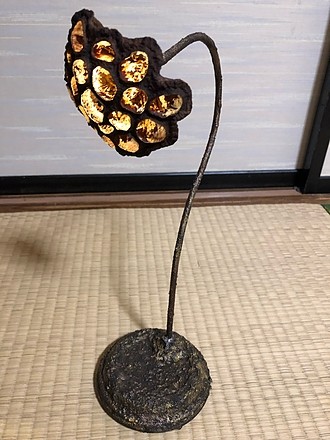 蓮の実はとっても繊細です。